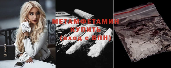 шишки Белоозёрский