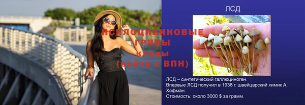 шишки Белоозёрский