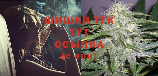 гидра Белокуриха