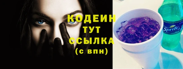 шишки Белоозёрский