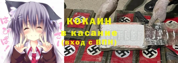 гидра Белокуриха