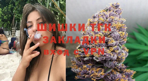 шишки Белоозёрский