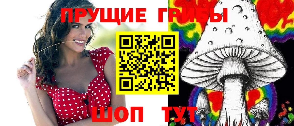 Псилоцибиновые грибы прущие грибы  Галлюциногенные грибы Psilocybe  Сердобск  Вход с VPN 